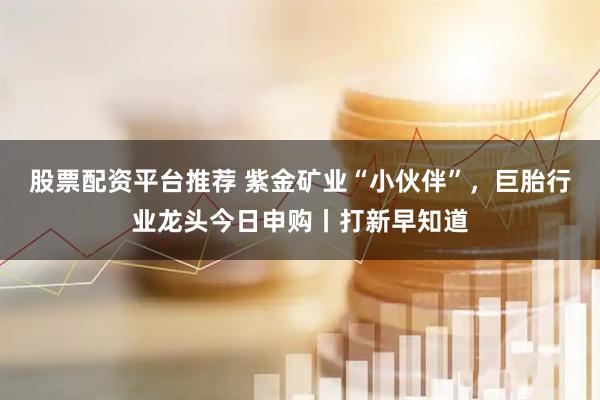 股票配资平台推荐 紫金矿业“小伙伴”，巨胎行业龙头今日申购丨打新早知道