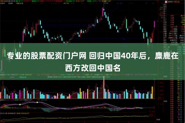 专业的股票配资门户网 回归中国40年后，麋鹿在西方改回中国名